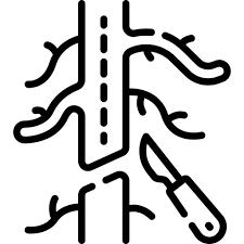 Vascular Procedures Icon