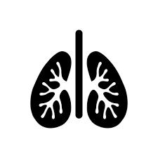 Pulmonology Icon